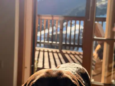 Screenshot_20260201_095002_WhatsApp