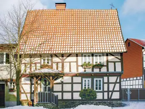 Ferienhaus für 5 Personen (115 m²) in Dankerode
