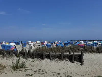 Ferienhaus für 8 Personen (140 m²) in Damp 5/10
