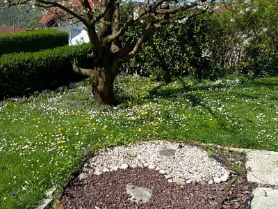 Ferienhaus für 3 Personen (44 m²) in Rudolfswerth 7/10