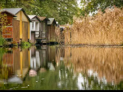 Ferienhaus Tamika am Tollensesee - am Tollensesee