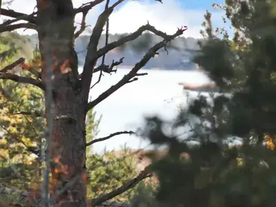 Ferienhaus für 8 Personen (90 m²) in Kainu 5/5