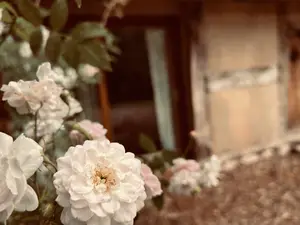 Ferienhaus für 2 Personen (65 m²) in Eydelstedt