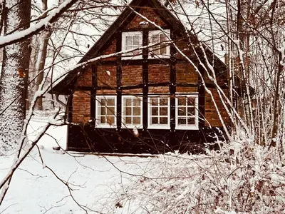 Ferienhaus für 2 Personen (65 m²) in Eydelstedt 10/10