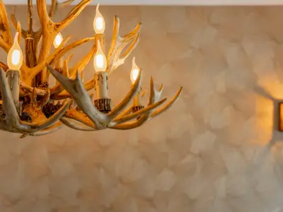 Ambiente / Nahaufnahme