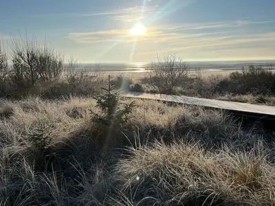 Ferienhaus für 3 Personen (105 m²) in Nieblum 2/10