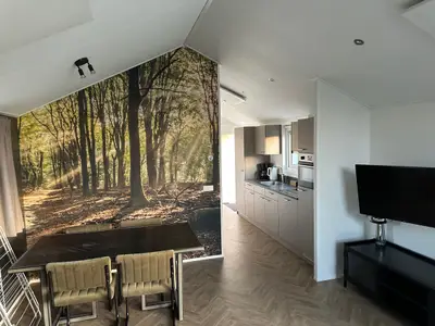 Ferienhaus für 4 Personen (78 m²) in Kampen (Overijssel) 6/10