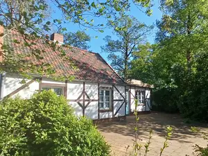 Ferienhaus für 3 Personen (55 m²) in Wingst