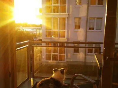 Ferienhaus für 4 Personen (51 m²) 1/10