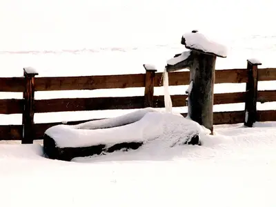 Ferienhaus für 5 Personen (60 m²) 4/10