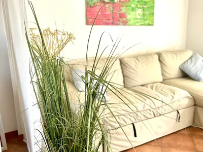 Ferienhaus für 6 Personen (73 m²) in Punta Braccetto 6/10