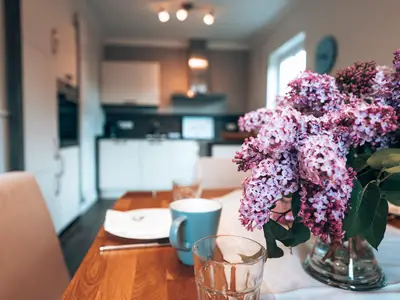 Küche / Küchenzeile