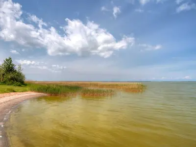 Ferienhaus für 6 Personen (85 m²) in Neuendorf (Bei Saal) 8/10