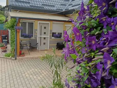 Ferienhaus für 6 Personen (70 m²) in Ságvár 4/10