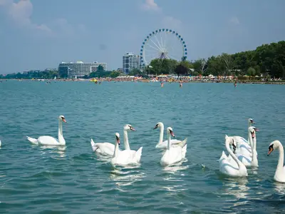Ferienhaus für 6 Personen (80 m²) in Siófok 10/10