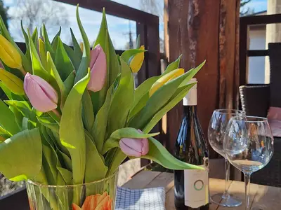 Ferienhaus für 10 Personen (125 m²) in Zamárdi 4/10