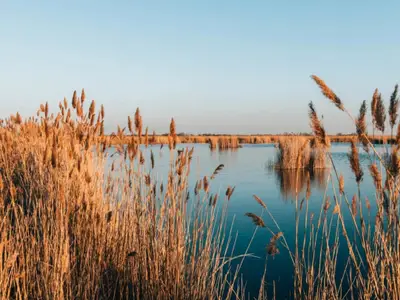 Umgebung [Sommer] (1-5 km)