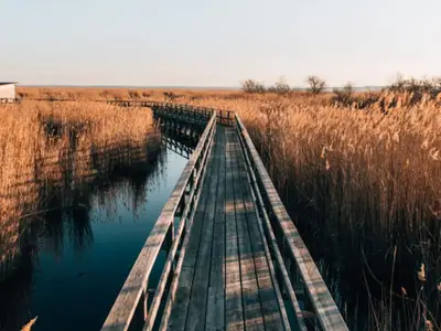 Umgebung [Sommer] (1-5 km)