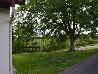 Ferienhaus für 5 Personen (60 m²) in Gnas 4/10