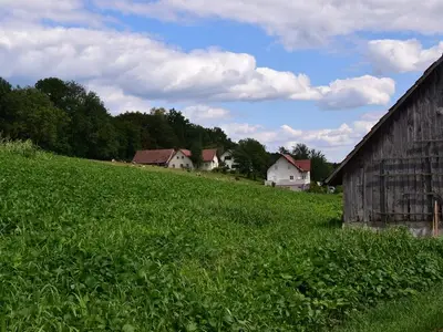 Ferienhaus für 5 Personen (60 m²) in Gnas 5/10