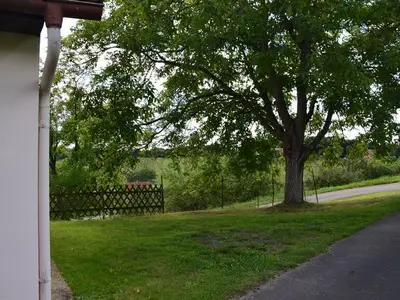 Ferienhaus für 5 Personen (60 m²) in Gnas 8/10