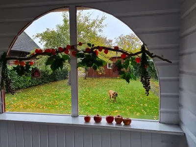 Ein Blick von der Veranda in den Garten