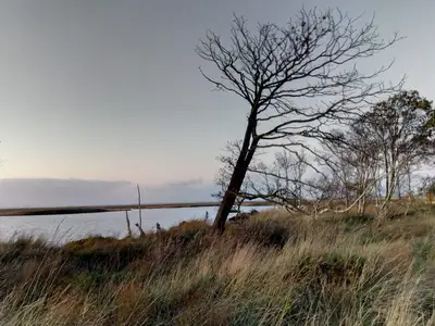 Ferienhaus für 4 Personen (75 m²) in Jade 3/8