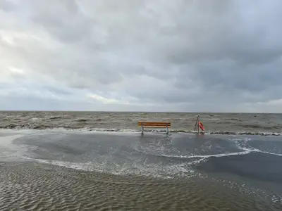 Ferienhaus für 4 Personen (75 m²) in Jade 4/8