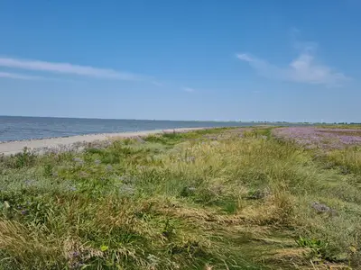 Ferienhaus für 4 Personen (75 m²) in Jade 5/8