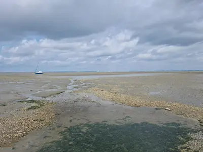 Ferienhaus für 4 Personen (75 m²) in Jade 6/8