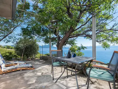 Ferienhaus für 3 Personen (55 m²) in Pijavičino 2/10