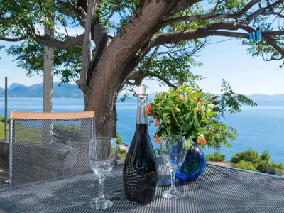 Ferienhaus für 3 Personen (55 m²) in Pijavičino 5/10