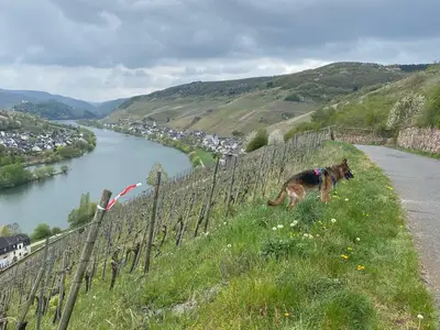 885eb170-bdea-4e53-b05c-95c493ed9a81 2