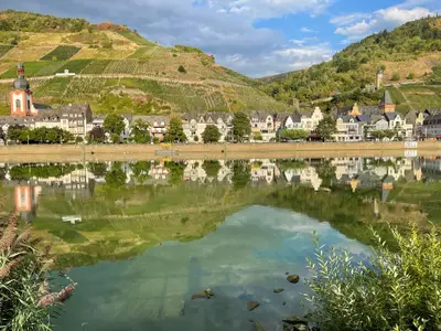 e1c03d17-b232-4975-9a4d-69c3be7d50b6