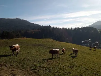 IMG_20211213_091644_346