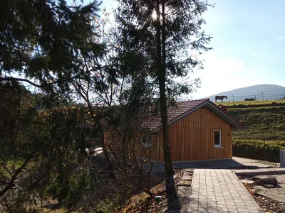 IMG_20211119_123343_688