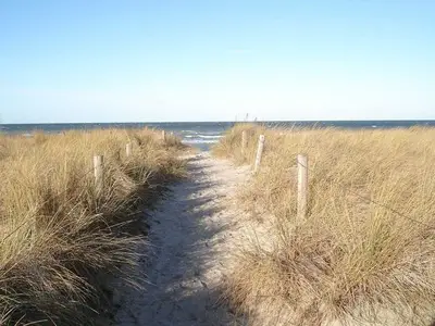 Ferienhaus für 4 Personen (45 m²) in Insel Poel 5/10