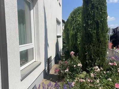 Blühstreifen Hauseingang