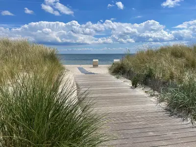 Ferienhaus für 8 Personen (79 m²) in Großenbrode 4/10