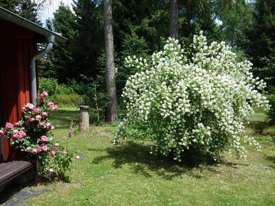 Gartendetails