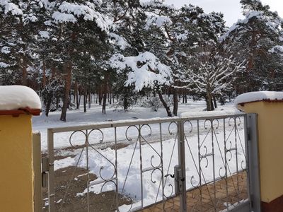 Winterwald vor der Tür