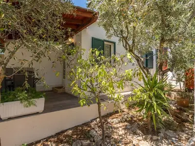 Ferienhaus für 4 Personen in Stari Grad 3/10