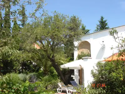 Ferienhaus für 4 Personen (60 m²) in Starigrad-Paklenica 7/10