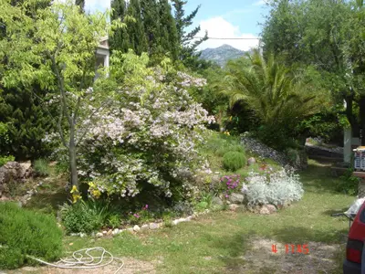 Ferienhaus für 4 Personen (60 m²) in Starigrad-Paklenica 5/10