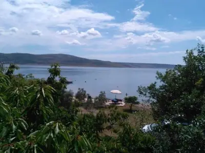 ViewSummer