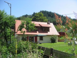 Ferienhaus für 4 Personen in Staufen Im Breisgau