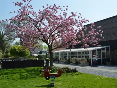 Bild 9