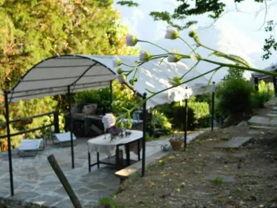 Bild 7