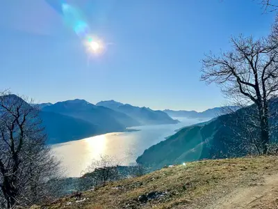 Landschaft