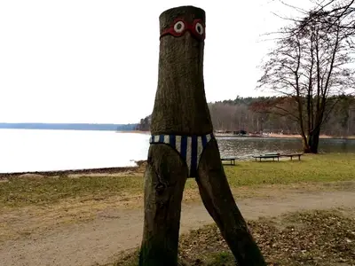 Ferienhaus für 4 Personen (28 m²) in Stechlin 8/10